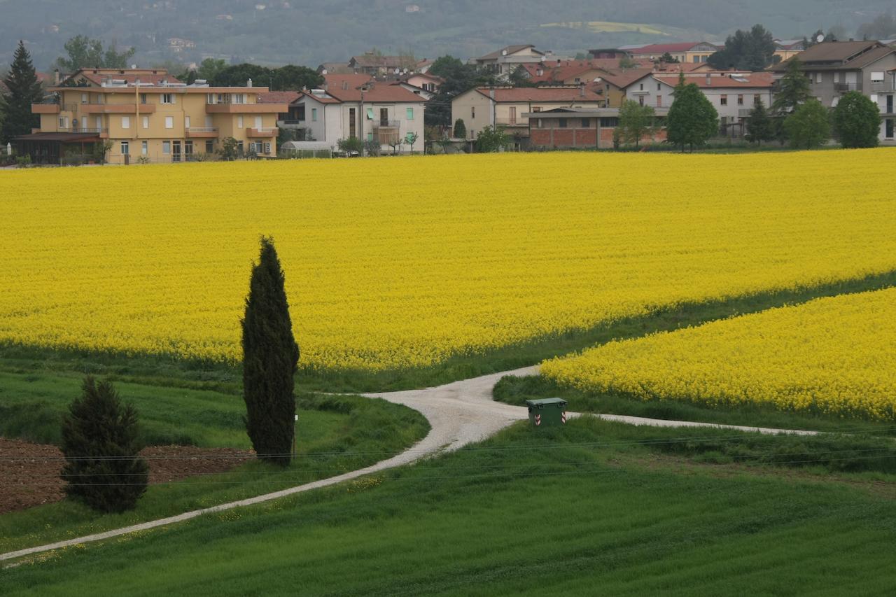 Palazzo Santinelli Bed and Breakfast SantʼAngelo in Vado Εξωτερικό φωτογραφία
